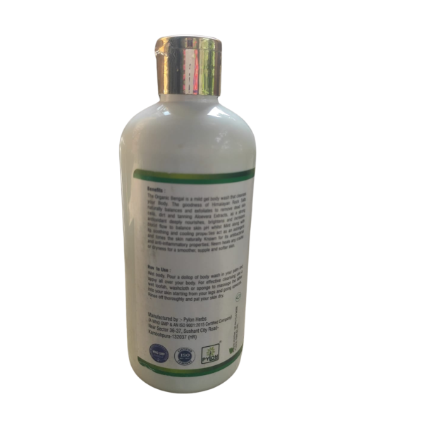Body Wash - Image 3